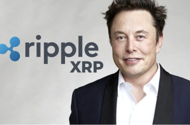 Elon Musk XRP